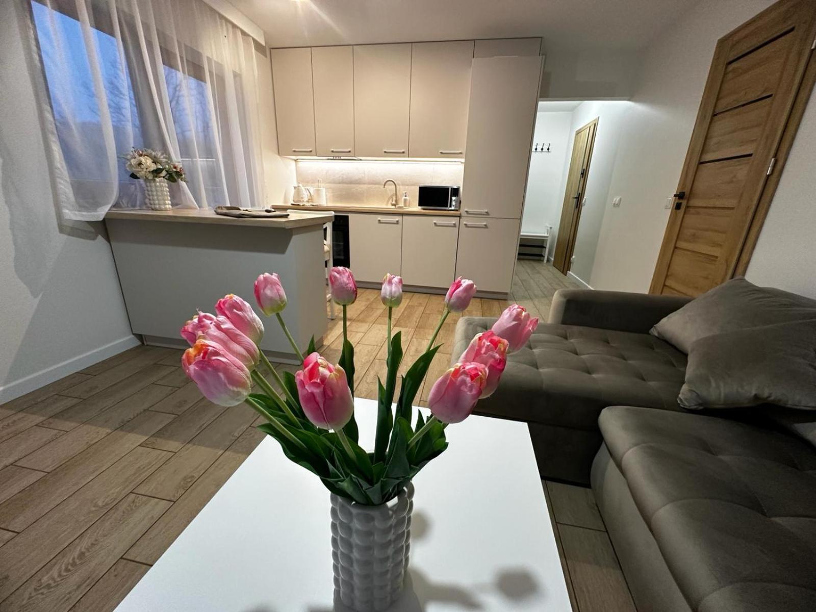 Apartamenty Biala Gran Zakopane Buitenkant foto
